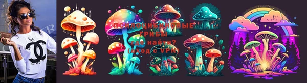 индика Алзамай
