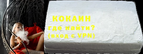индика Алзамай