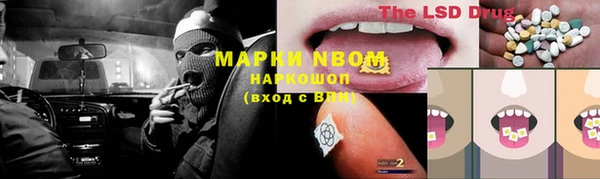 индика Алзамай