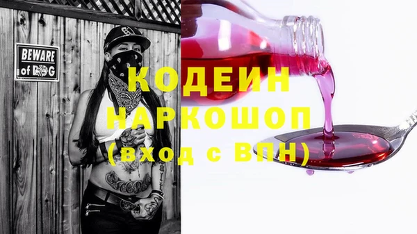 индика Алзамай